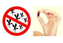 Asta este vitamina care te scapă de țânțari! Se ia zilnic!