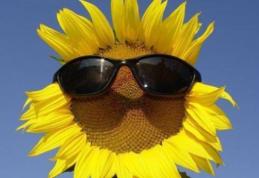 Prognoza meteo pe trei zile. Vremea continuă să se încălzească