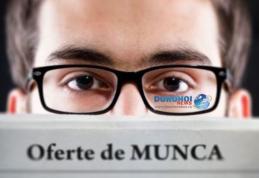 Vezi ce locuri de muncă sunt la dispoziţia şomerilor din judeţul Botoşani, în această săptămână!