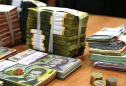 Societate din județul Botoșani cercetată pentru evaziune fiscală cu material lemnos