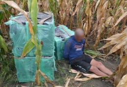 Contrabandist moldovean depistat într-un lan de porumb de poliţiştii de frontieră - FOTO
