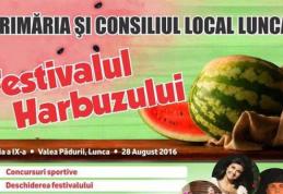 Concert Celia la Festivalul Harbuzului. Află unde se organizează!