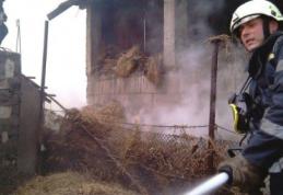 Adăpost de animale şi furaje distruse din joacă