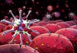 Dacă acest parazit este distrus, evoluția cancerului se va opri imediat