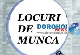 Aproape 400 de locuri de muncă vacante, sunt la dispoziţia şomerilor din judeţul Botoşani, în această săptămână