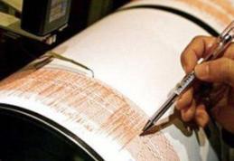 Cutremur de 4,1 grade pe scara Richter în județul Vrancea, joi seara