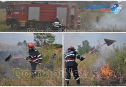 Incendiu izbucnit în apropierea unui depozit de lemne din Dealu Mare. Pompierii dorohoieni au evitat un dezastru - FOTO