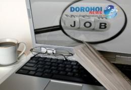 Peste 400 de locuri de muncă disponibile în această săptămână în județul Botoșani. Vezi oferta!