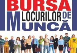 AJOFM Botoșani organizează „Bursa locurilor de muncă pentru absolvenţii promoţiei 2016” Vezi data și locația!
