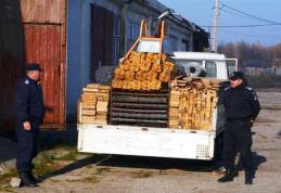 Noi competenţe primite de jandarmi privind contravenţiile silvice