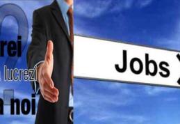 Val de angajări în administraţia publică din județul Botoșani. Zeci de posturi scoase acum la concurs. Vezi harta joburilor!