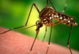 Cum știi dacă ai fost infectat cu virusul West Nile după înțepătura unui țânțar