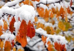 Weekend cu ploi și ninsori abundente la munte. Ploile se vor face simțite și în Moldova!