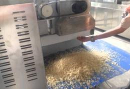 Cum recunoaştem orezul de plastic de cel natural