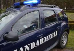 Amenzi de 7000 de lei pentru încălcarea legislaţiei silvice