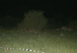 Au trecut Prutul înot pentru a ajunge în România