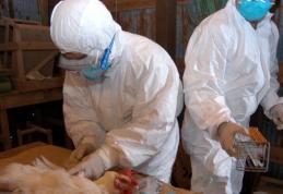 ATENȚIE! Un virus detectat la păsări și care se transmite la om a fost confirmat în România!