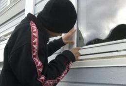 Minor de 16 ani din Suharău cercetat pentru comiterea mai multor furturi 