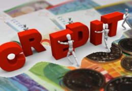 Lovitură pentru împrumutaţii în franci elveţieni. Guvernul contestă legea conversiei creditelor la Curtea Constituțională