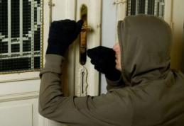 Minori din Dorohoi bănuiţi de comiterea unor furturi depistați de polițiști