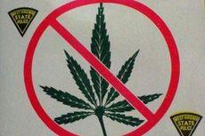 Legea a fost adoptata : Interzis la etnobotanice