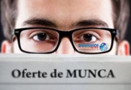Peste 460 de locuri de muncă disponibile în această săptămână în județul Botoșani. Vezi oferta!