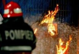 Furaje distruse într-un incendiu, la Vorniceni