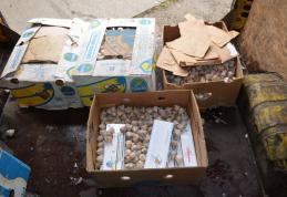Ţigări de contrabandă ascunse în cutii cu usturoi, depistate de poliţiştii de frontieră - FOTO