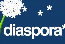 Primarii vor putea angaja consilieri personali pe relaţia cu diaspora