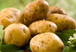 Cartofii, adevărat medicament pentru rinichi