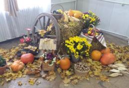 „Toamna, anotimpul florilor, fructelor și semințelor” la Muzeul de Ştiintele Naturii din Dorohoi - FOTO