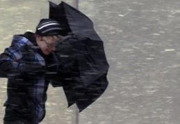 Vreme de coșmar în județul Botoșani. Copaci căzuți, case fără curent și pericol de inundații