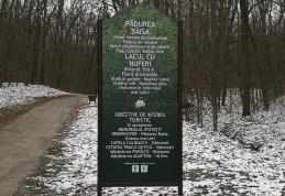 Lucrările de reabilitare a Lacului cu Nuferi au fost finalizate - FOTO