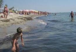 Plajele din Mamaia şi Constanţa sunt invadate de alge urât mirositoare 