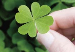 Cele mai norocoase zodii din această iarnă