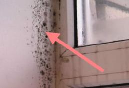 Atenție la igrasia specifică sezonului rece