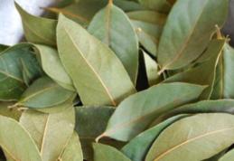 Cum se folosesc, de fapt, frunzele de DAFIN în mâncare