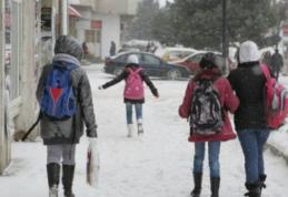 Începe vacanța de iarnă! Când se întorc elevii la şcoală după vacanţa de Crăciun!