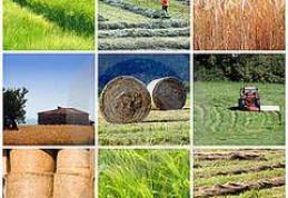 Statul îți dă 40.000 de euro dacă te muți la țară