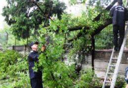 Efectele vântului puternic | 30 de localităţi din judeţul Botoşan