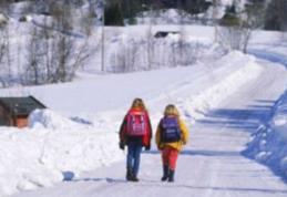 Cursurile se reiau miercuri în şcolile din județul Botoșani