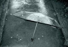 Vreme capricioasă : Ploi, tunete şi fulgere toată săptămâna