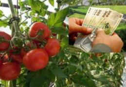 Ajutoare financiare consistente pentru cultivatorilor de roşii din judeţ