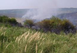 Stop incendiilor de vegetaţie uscată!