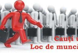 LISTA locurilor de muncă: 420 locuri de muncă disponibile în județul Botoşani!