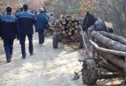 Acţiuni ale polițiștilor din Dorohoi pentru combaterea infracţiunilor silvice. Au fost aplicate amenzi de peste 32 mii lei