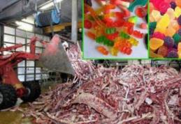 Filmuleţul de groază care arată cum sunt fabricate jeleurile din comerţ - VIDEO