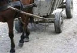 Minoră accidentată la Hudești datorită neatenției