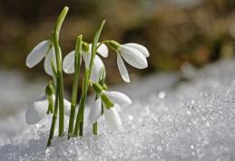 Cum va fi vremea la începutul lunii martie, zilele babelor
