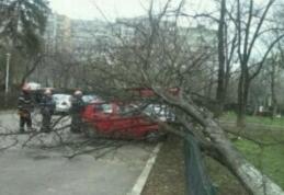 Sfaturi de la pompieri pentru evitarea unor situații de urgență generate de vântul puternic